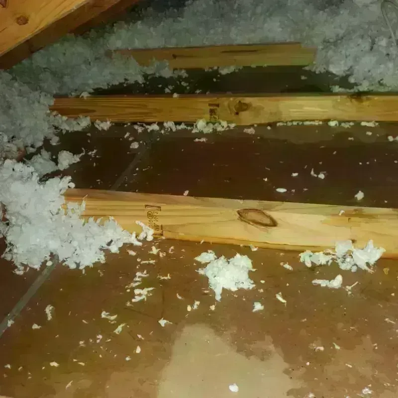 Attic Water Damage in Baden, PA